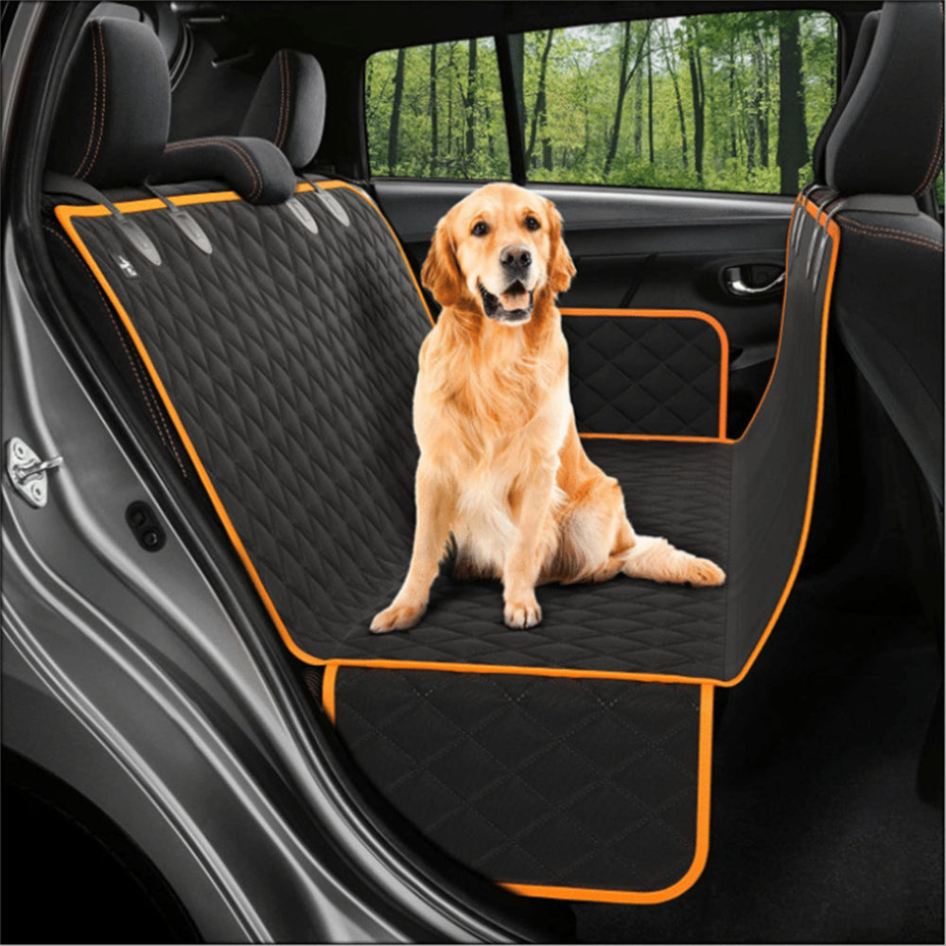 🐾 Distributeur Automatique de Croquettes Intelligent pour Chien et Chat
