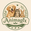 ANIMAGIX – Accueil