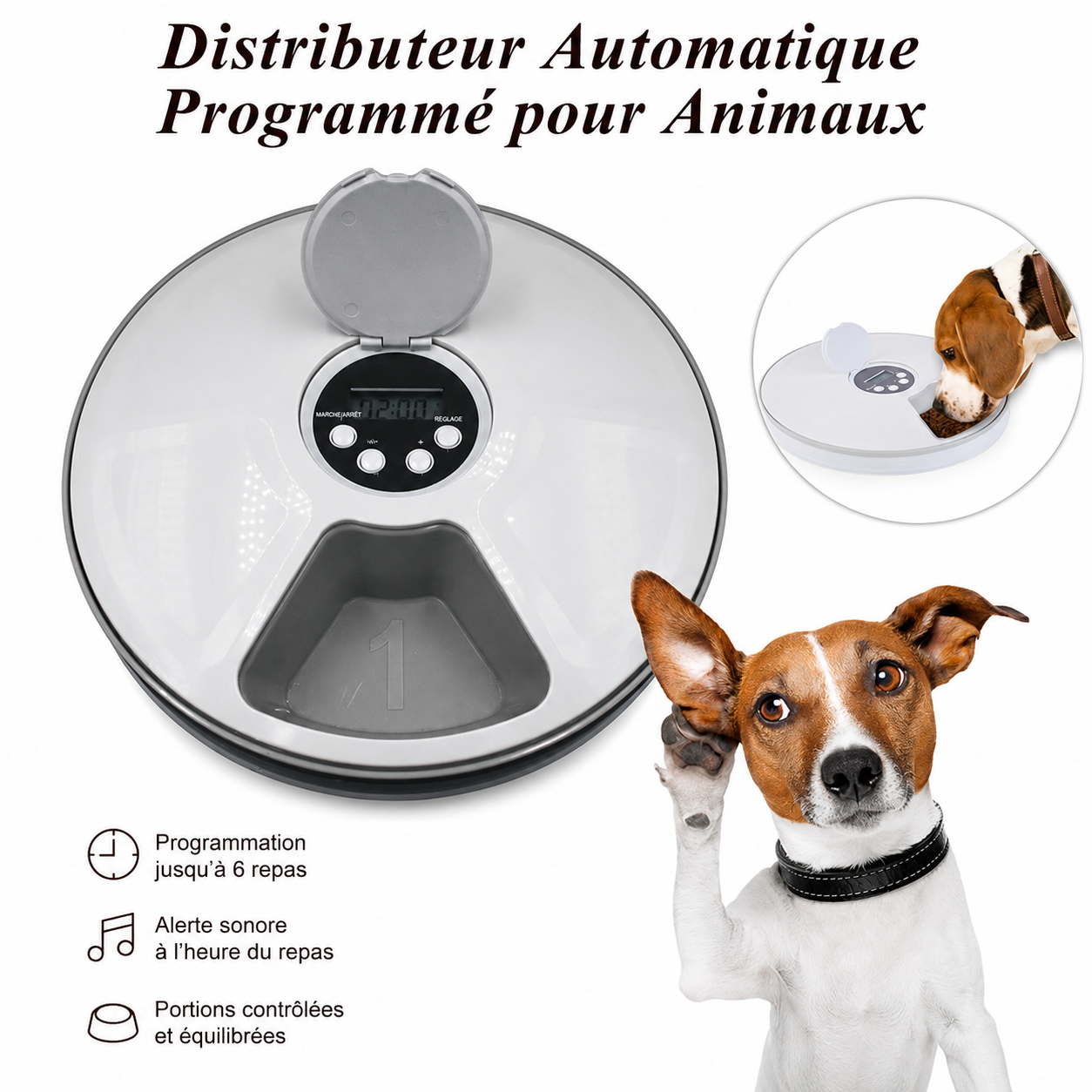 🐾 Distributeur Automatique de Croquettes Intelligent pour Chien et Chat